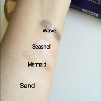 Rainforest of the Sea Swatches